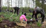 100 sadzonek na 100-lecie Lasów Państwowych w Leśnictwie Tarnawa