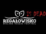 Regałowisko w Bielawie