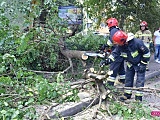 Drzewo spadło na mercedesa