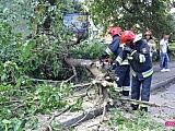 Drzewo spadło na mercedesa