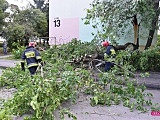 Drzewo spadło na mercedesa