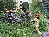 Drzewo spadło na mercedesa