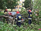 Drzewo spadło na mercedesa