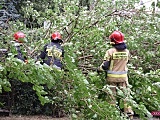 Drzewo spadło na mercedesa