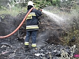 Pożar pomiędzy Dzierżoniowem a Pieszycami