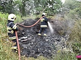 Pożar pomiędzy Dzierżoniowem a Pieszycami