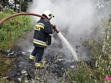 Pożar pomiędzy Dzierżoniowem a Pieszycami