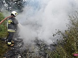 Pożar pomiędzy Dzierżoniowem a Pieszycami