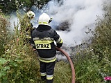 Pożar pomiędzy Dzierżoniowem a Pieszycami