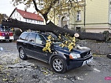 O krok od tragedii! Ogromne drzewo runęło na samochód!