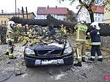 O krok od tragedii! Ogromne drzewo runęło na samochód!