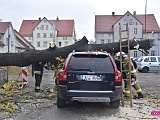 O krok od tragedii! Ogromne drzewo runęło na samochód!