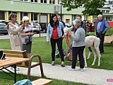 Dzień Dziecka w Zespole Ośrodków Wsparcia w Bielawie