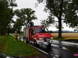 Konar spadł na przejeżdżający samochód 