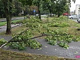 Nawałnica nad Dzierżoniowem