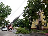 Nawałnica nad Dzierżoniowem