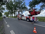 Zwisająca gałąź nad jezdnią. Interwencja strażaków na drodze Dzierżoniów-Uciechów [Foto]