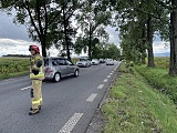 Zwisająca gałąź nad jezdnią. Interwencja strażaków na drodze Dzierżoniów-Uciechów [Foto]