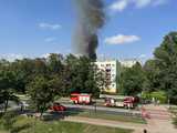 Pożar mieszkania na osiedlu Błękitnym! Trwa akcja straży pożarnej