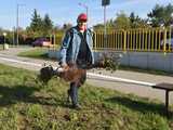 Akcja sadzenia drzew na 100-lecie Polskiego Towarzystwa Dendrologicznego