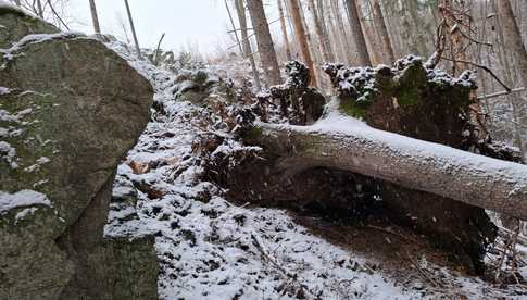 UWAGA! Ścieżka sentymentalna w Kamionkach zamknięta. Wiatr wyrządził tam duże szkody [FOTO]