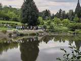 Majowe Arboretum w Wojsławicach