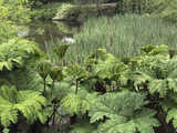Majowe Arboretum w Wojsławicach