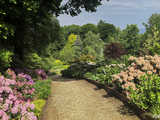 Majowe Arboretum w Wojsławicach