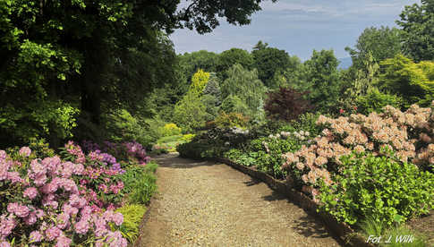 Majowe Arboretum w Wojsławicach