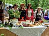IV Piknik Historyczny