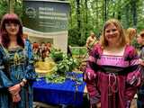 IV Piknik Historyczny