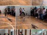 sport