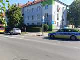 Fordem uderzył w drzewo
