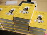 Góry Literatury w Dzierżoniowie
