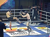 Night Of Champions w Szczytnej przyciągnęła prawdziwe tłumy 