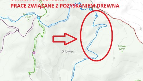 Utrudnienia na trasie Singletrack Pętla Orłowiec