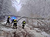 Wypadek na krajowej „ósemce”, 27.1.2022