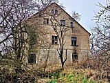 Blacha