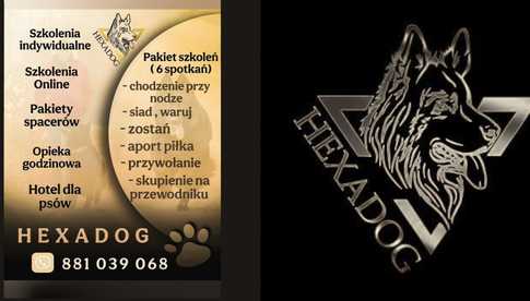 HEXADOG