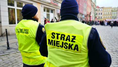 Ostatnie interwencje świdnickiej straży miejskiej 