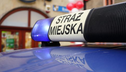 Interwencje świdnickiej straży miejskiej