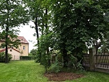 Park historyczny