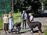 Pożegnanie lata z darami natury