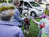 Pożegnanie lata z darami natury