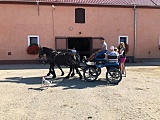 Pożegnanie lata z darami natury