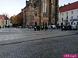 [FOTO, WIDEO] Mylicie Sejm z cyrkiem, a Polskę z lasem - manifestacja w Świdnicy