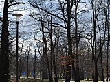 [FOTO] Migawki z miasta: Park im.Jana Kasprowicza