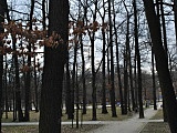 [FOTO] Migawki z miasta: Park im.Jana Kasprowicza