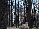 [FOTO] Migawki z miasta: Park im.Jana Kasprowicza