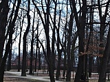 [FOTO] Migawki z miasta: Park im.Jana Kasprowicza